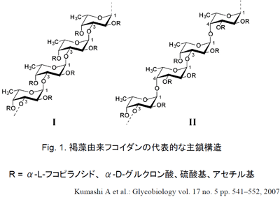 フコイダンの基本データ