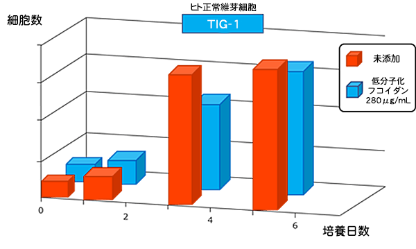 正常細胞にダメージを与えるかどうかの検証