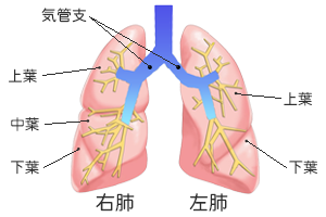 肺がん治療の現状と課題