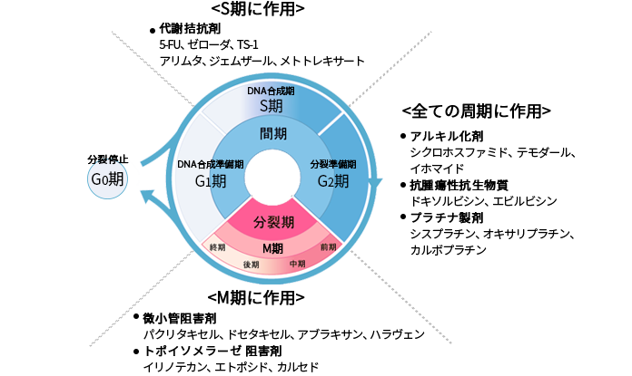 悪い副作用と良い副作用