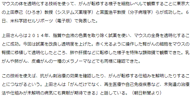 透明化マウスで細胞レベルでがん転移の観察に成功