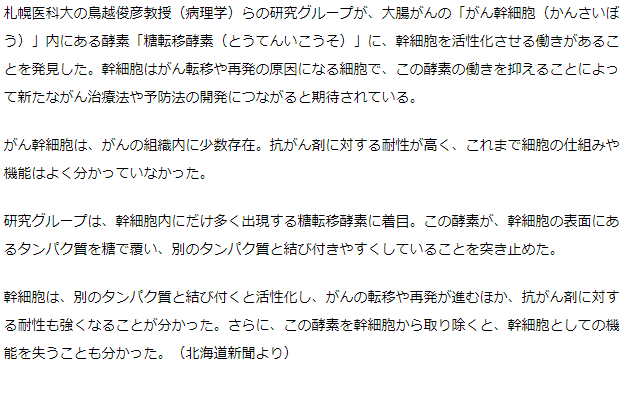がん幹細胞活性化防ぐ酵素発見　札幌医科大