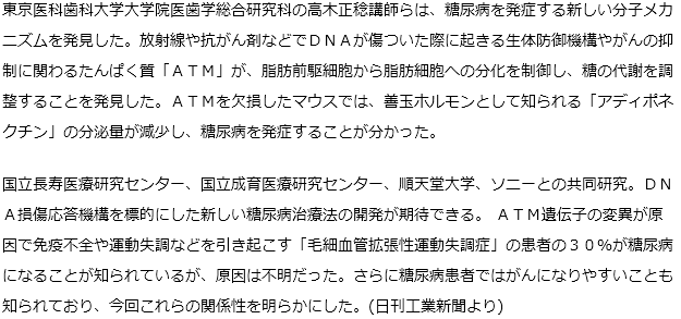 糖尿病に新メカニズム発見、がん抑制たんぱく質欠損が発症に関与