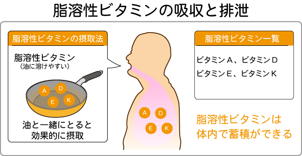 ビタミン e 過剰 摂取