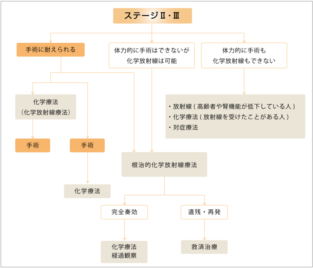 食道がんステージⅡ・Ⅲの治療の流れ