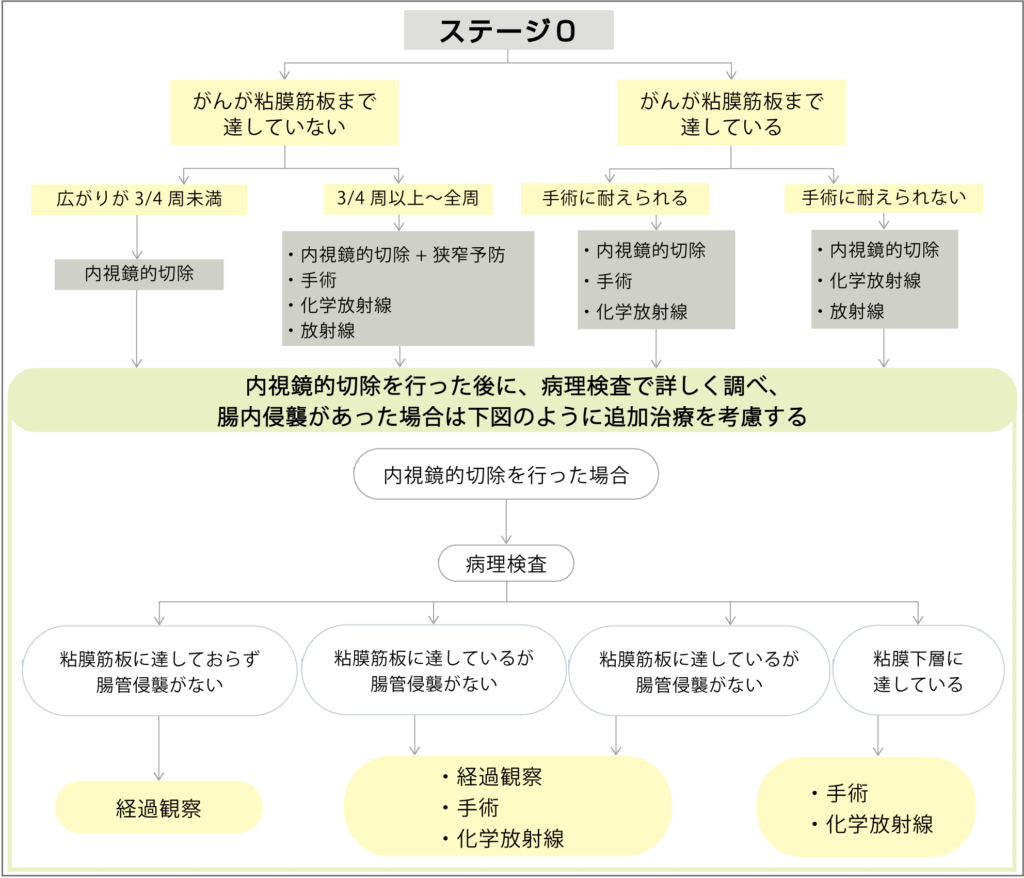 食道がんステージ０の治療の流れ