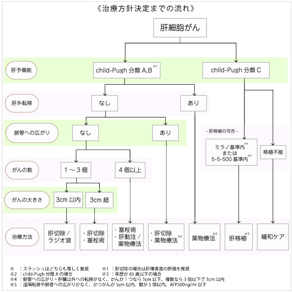 肝臓がんの治療方針決定までの流れ