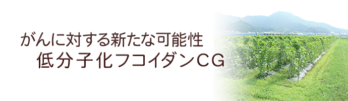 低分子化フコイダンCG