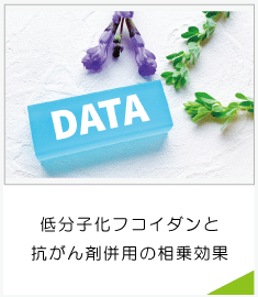 LMFと抗がん剤併用の相乗効果