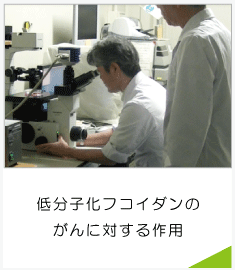 LMFのがんに対する作用バナー