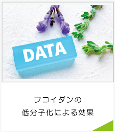 LMFの低分子化による効果