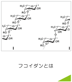 フコイダンとはページへのリンクバナー